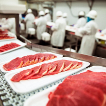 Технология мяса и мясных продуктов