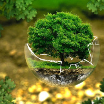 Природоохранная деятельность