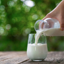 Технология молока и молочных продуктов